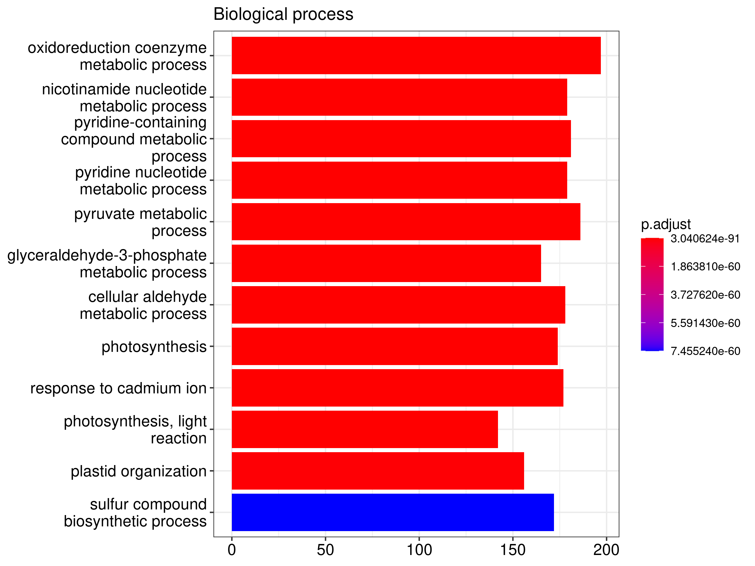 Prmd PRMD | Results
